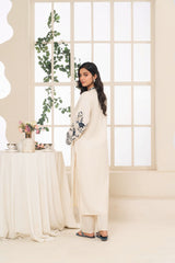 Embroidery 2pcs winter linen