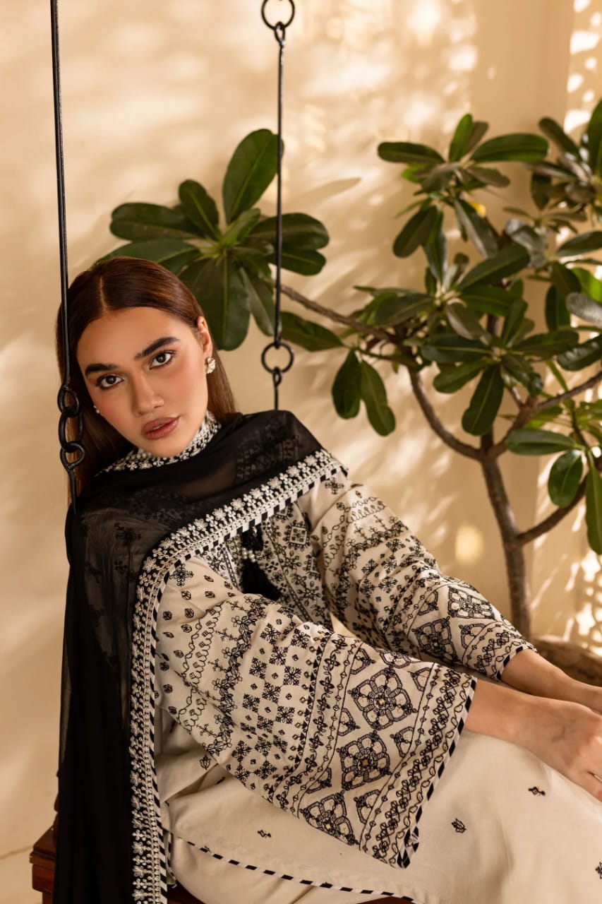3pc Embroidered dress