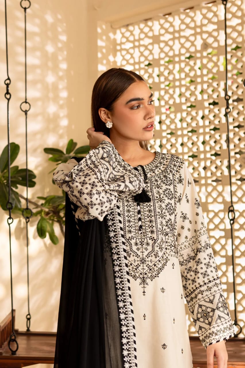 3pc Embroidered dress